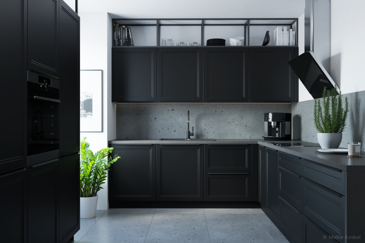 Fronty: Paleta RAL (propozycje kolorów: 9005, 9011)