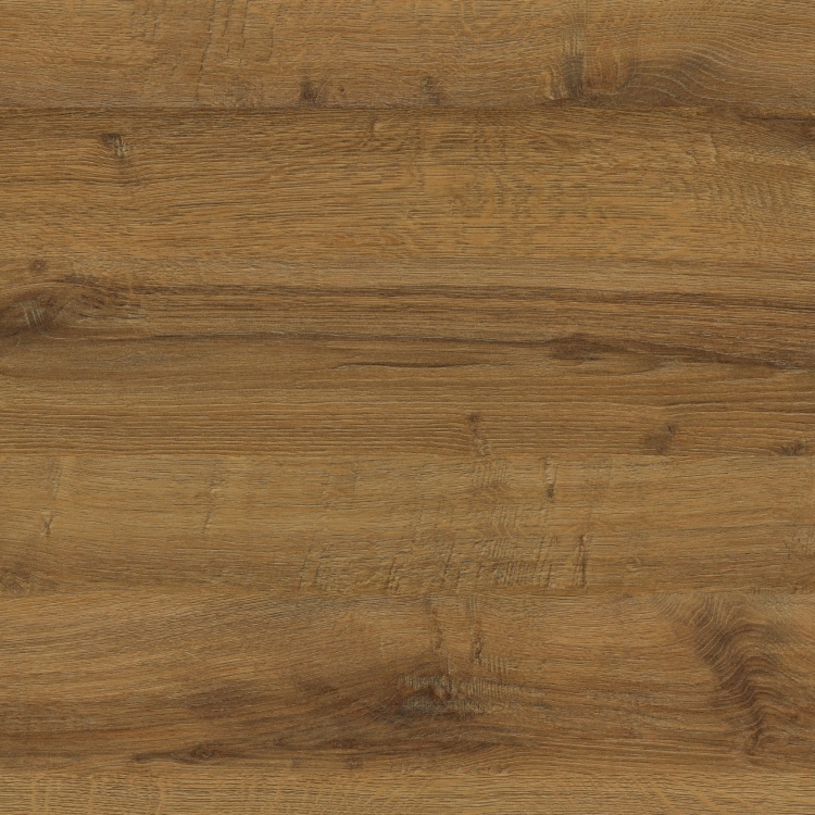 DĄB SHERMAN KONIAKOWY BRĄZOWY.jpg