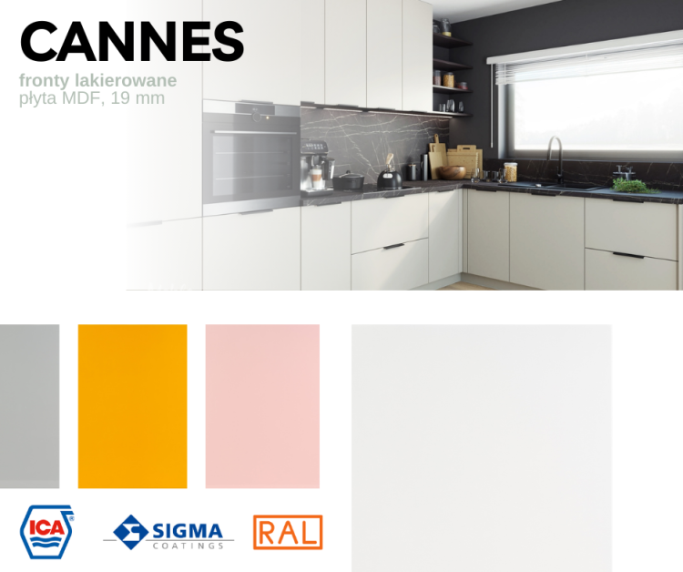 CANNES.png