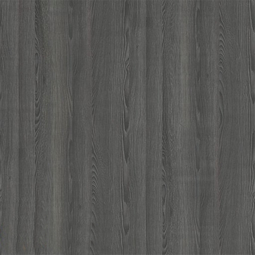 Sosna Jacobsen Czarna