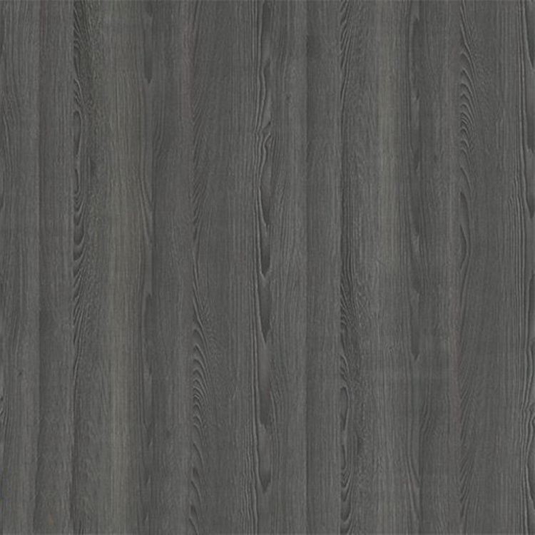 Sosna Jacobsen Czarna